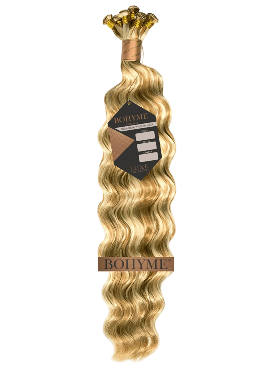 blhob-package.png?v=1771273250