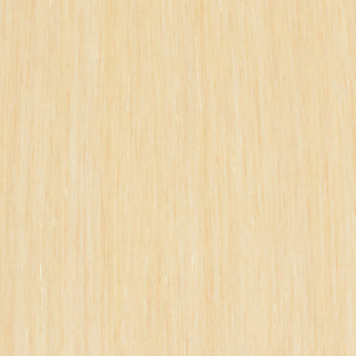 BL22A - Ultimate Ash Blonde - Simply Hair Co.