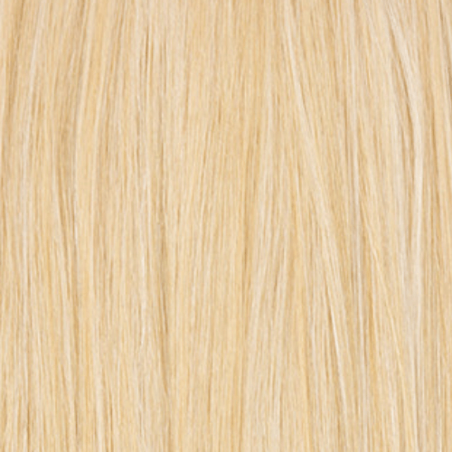 D27/BL613A - Honey Blonde And Ultimate Light Platinum Blonde (Layered) - Simply Hair Co.