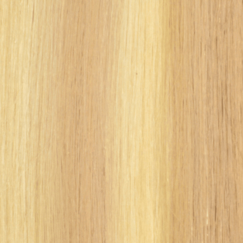 H14A/BL22A - Ultimate Light Golden Brown And Ultimate Cool Platinum Blonde (Highlights) - Simply Hair Co.