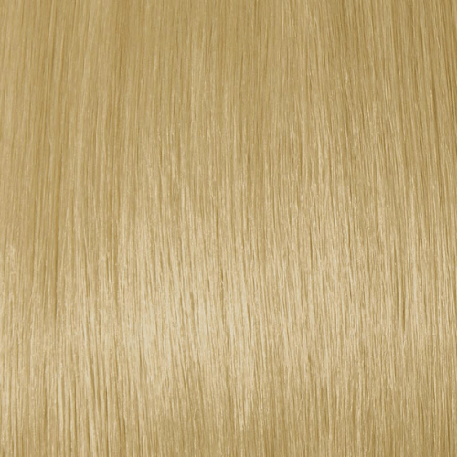 H16/BL22 - Medium Blonde And Cool Platinum Blonde (Highlights) - Simply Hair Co.