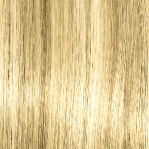 H18/BL22 - Dark Golden Blonde And Cool Platinum Blonde (Highlights) - Simply Hair Co.