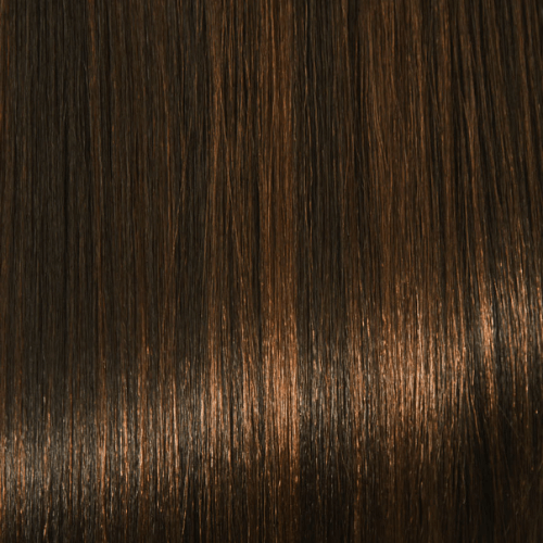 H1B/33 - Darkest Brown And Dark Copper (Highlights) - Simply Hair Co.