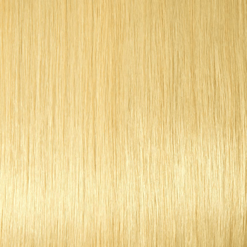 H22/27 - Light Yellow Blonde And Honey Blonde (Highlights) - Simply Hair Co.