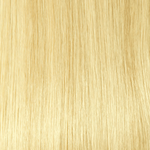 H24/BL613 - Light Honey Blonde And Light Platinum Blonde (Highlights) - Simply Hair Co.