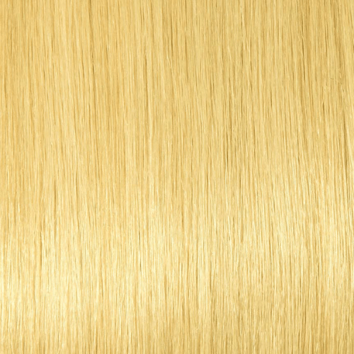H27/613 - Light Honey Blonde And Warm Platinum Blonde (Highlights) - Simply Hair Co.