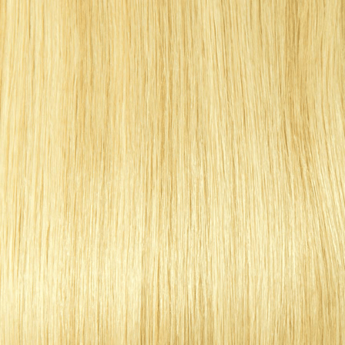 H27/BL613 - Honey Blonde And Light Platinum Blonde (Highlights) - Simply Hair Co.
