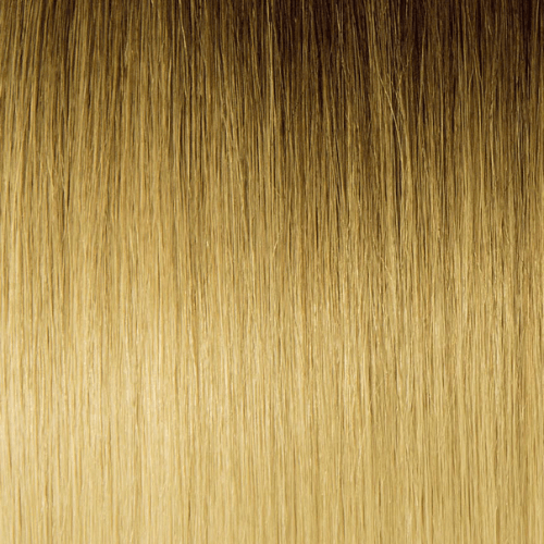 T2/BL22 - Dark Brown And Cool Platinum Blonde (Ombre)