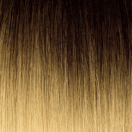 T2/BL60 - Dark Brown And Ultra Platinum Blonde (Ombre)
