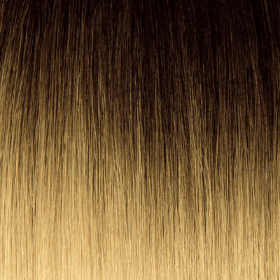 T2/BL60 - Dark Brown And Ultra Platinum Blonde (Ombre)