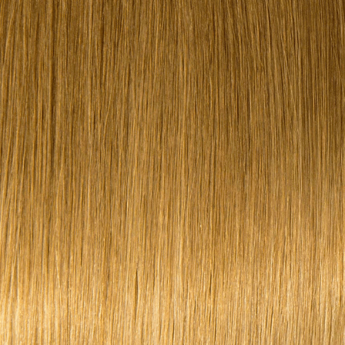 T6/BL22 - Golden Brown And Cool Platinum Blonde (Ombre)